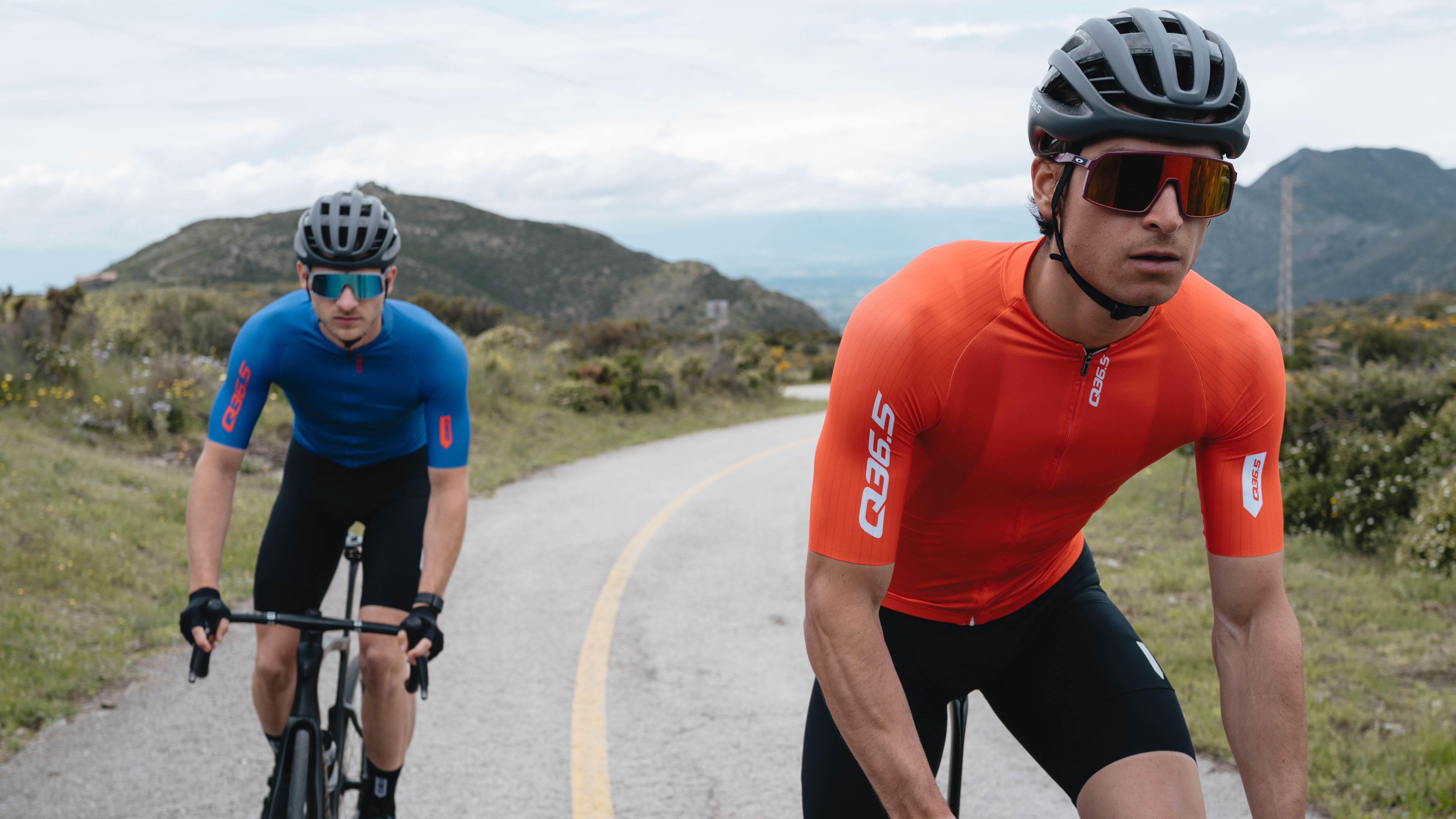 Q36.5 Gregarius Pro Collection