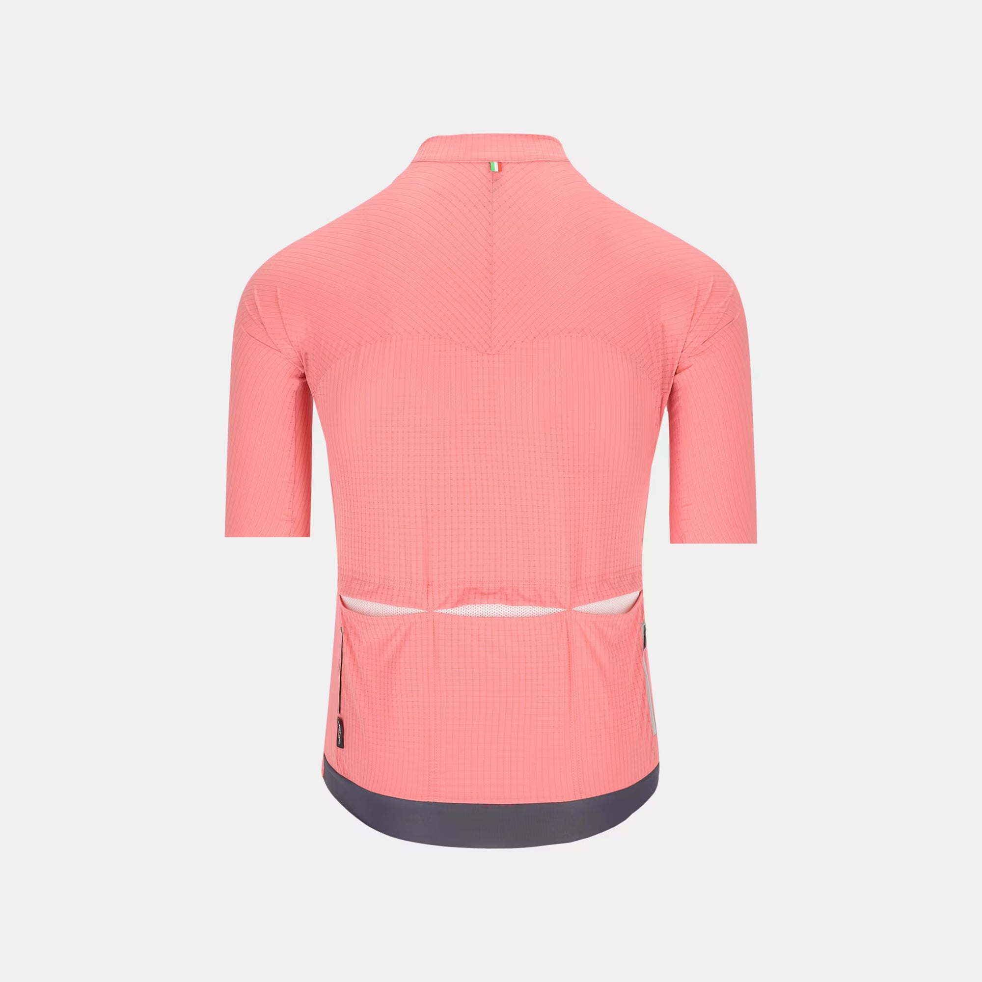 Back view of Q36.5 Dottore Pro Jersey - Men's - Giro Pink with 3D fast-drying fabric and rear pockets for cycling airflow