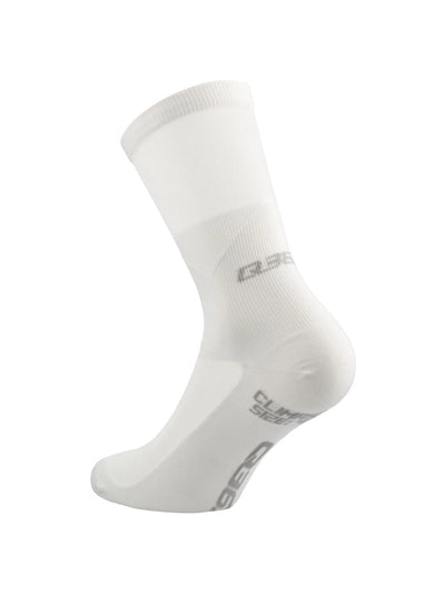 Q36.5 Clima Socks